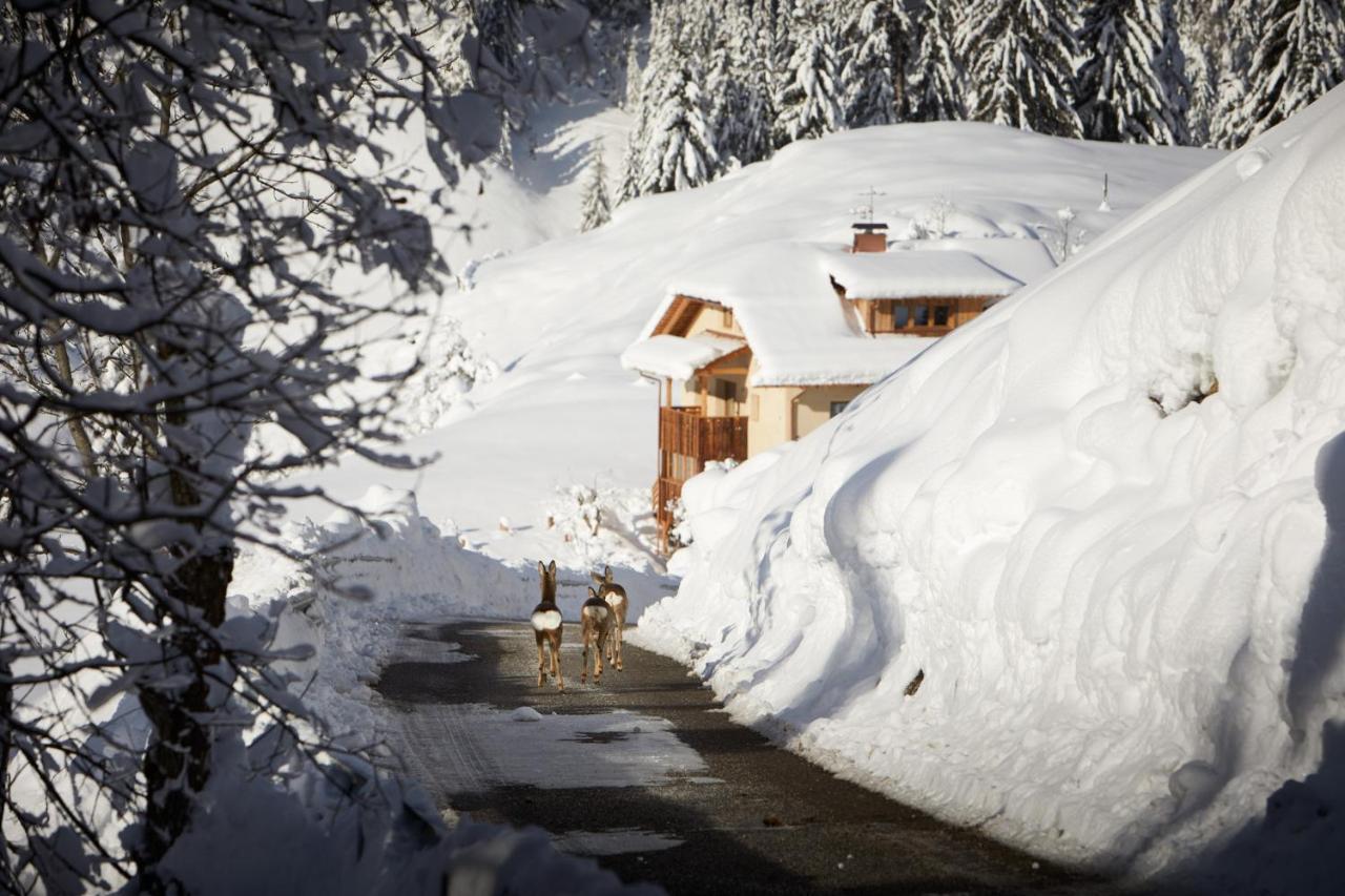 Sotciastel Antico Chalet Badia  Exteriér fotografie
